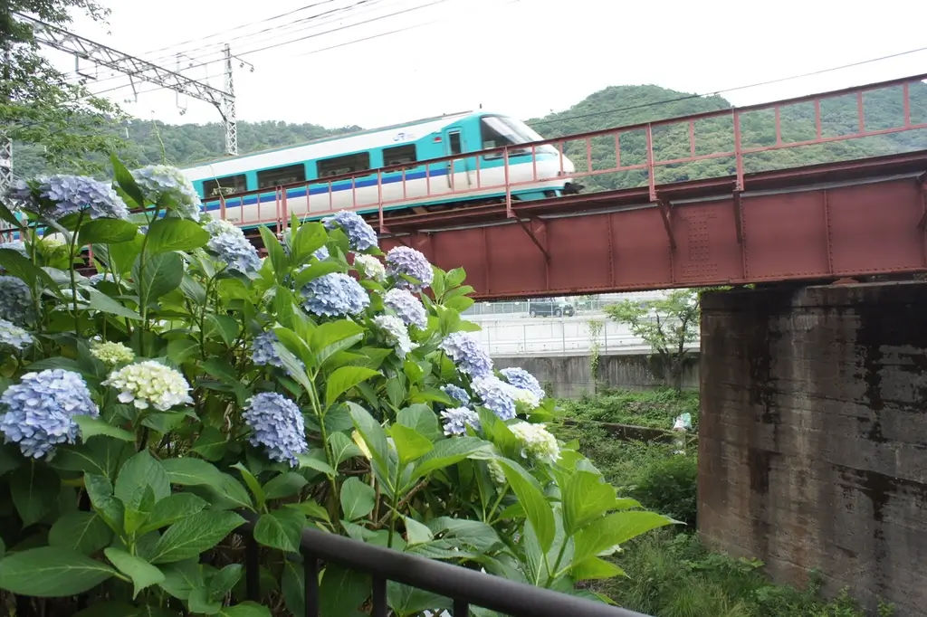 The Yamanaka Valley during the spring with blue flowers in the background.