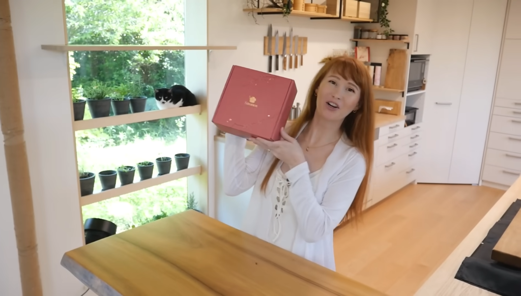 Sakuraco a monthly subscription Japanese snack box