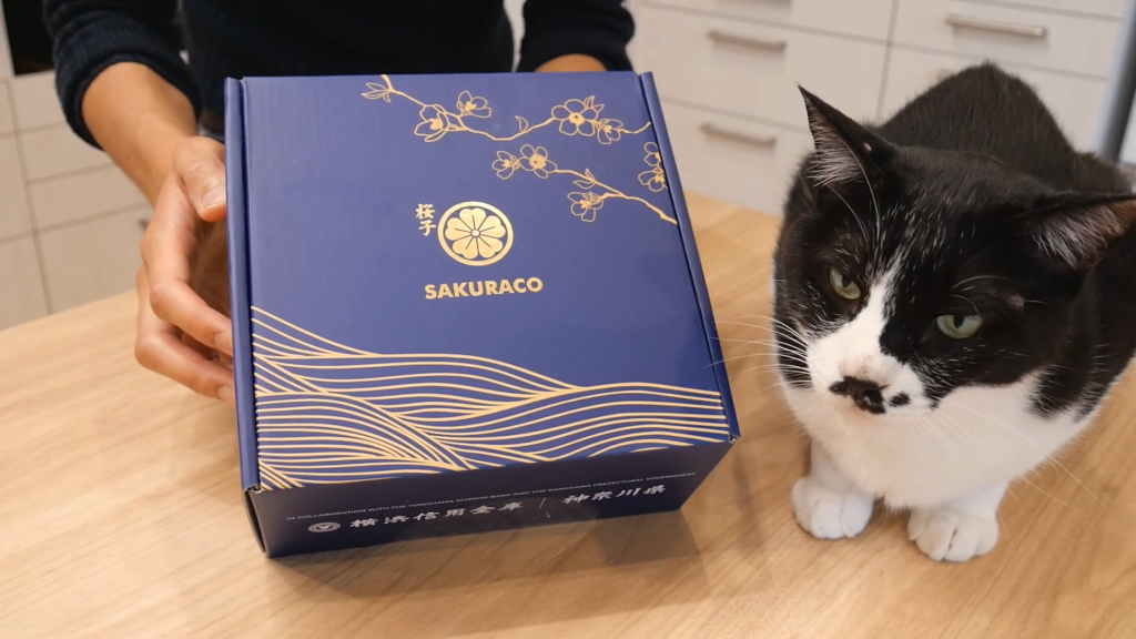 Sakuraco a monthly subscription Japanese snack box