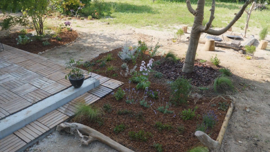 Six months of progress in Rachel and Jun's Japanese garden